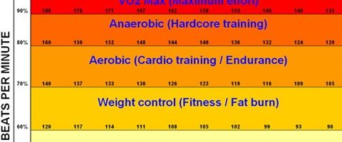 fat-burning-vs-cardio-zone-491×200
