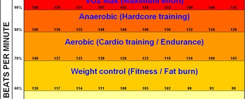 fat-burning-vs-cardio-zone-491×200