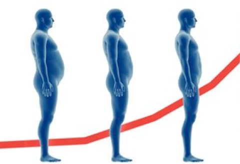 fat-to-thin-man-chart