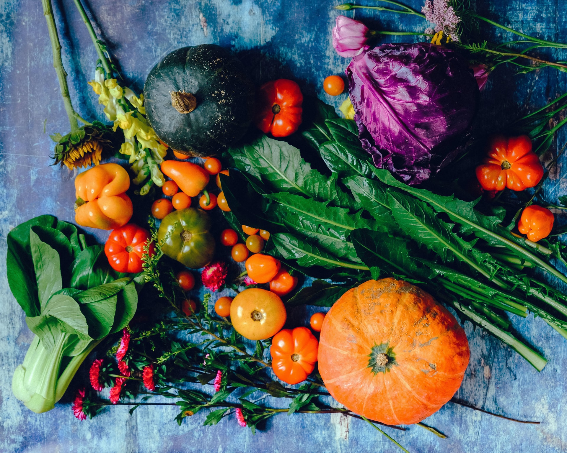 ella-olsson-7EhPbdAQG-s-unsplash