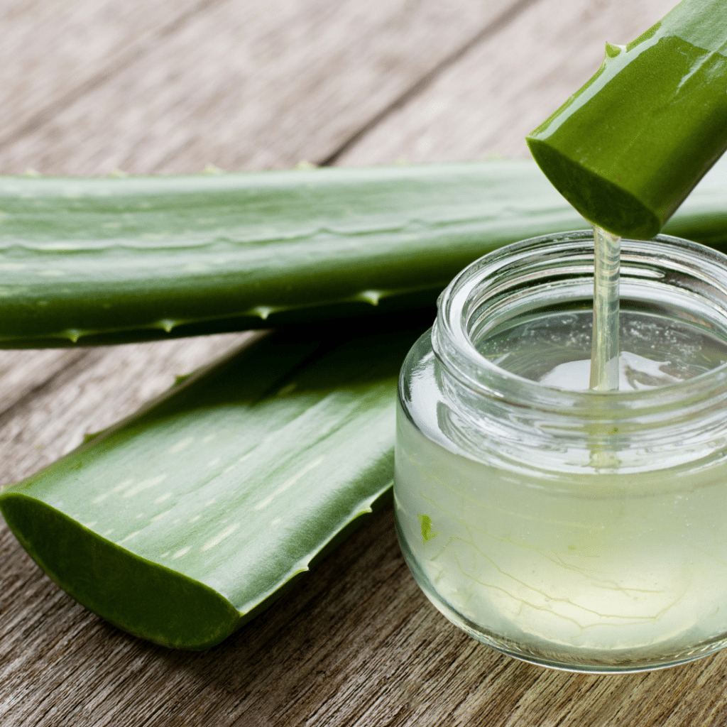 Forever Living Aloe Vera Gel – prirodni napitak za zdravlje probave i imuniteta.