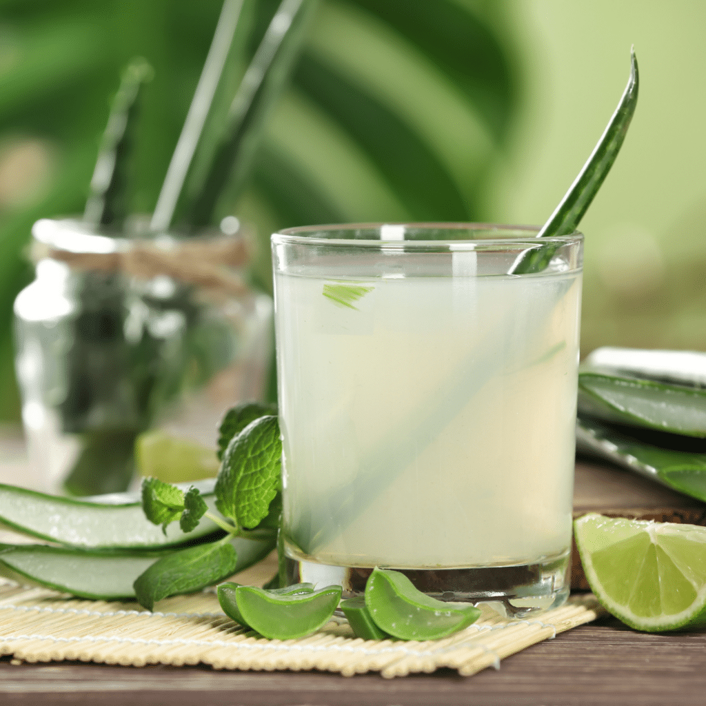 Aloe Vera Gel Forever Living – prirodna pomoć za probavni sustav, imunitet i opće zdravlje.